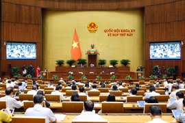 Quang cảnh phiên họp Quốc hội. (Nguồn ảnh: TTXVN)