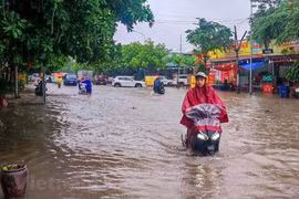 Ảnh minh họa. (Nguồn: Vietnam+)
