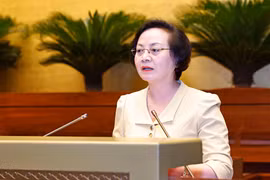 Bộ trưởng Bộ Nội vụ Phạm Thị Thanh Trà. (Ảnh: Doãn Tấn/TTXVN)