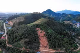 Ảnh minh họa. (Nguồn: Vietnam+)