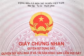 Hộ gia đình, cá nhân sử dụng đất ổn định từ ngày 15/10/1993 đến trước ngày 1/7/2014, mà không xảy ra tranh chấp sẽ được cấp sổ đỏ. (Ảnh: Hùng Võ/Vietnam+)