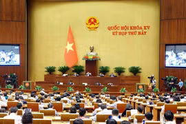 Quang cảnh phiên họp Quốc hội. (Nguồn: TTXVN)