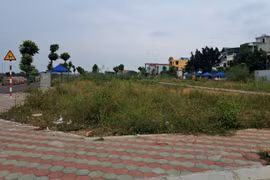 Khu vực đất đấu giá ở xã Thanh Cao, huyện Thanh Oai, thành phố Hà Nội. (Ảnh: Hùng Võ/Vietnam+)