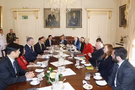 Tổng Bí thư, Chủ tịch nước Tô Lâm hội đàm với Tổng thống Ireland Michael D. Higgins. (Ảnh: Trí Dũng/TTXVN)