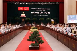 Quang cảnh Hội nghị. (Ảnh: Xuân Khu/TTXVN)