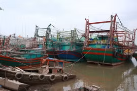 Tàu, thuyền về neo đậu tại cảng cá Mắt Rồng, xã Lập Lễ, huyện Thủy Nguyên, Hải Phòng. (Ảnh: Lâm Khánh/TTXVN)