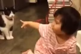 Clip "mèo ngáng chân em bé" khiến người xem không nhịn được cười