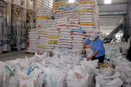Chế biến gạo xuất khẩu tại Xí nghiệp Chế biến lương thực cao cấp Tân Túc (huyện Bình Chánh). (Ảnh: Đình Huệ/TTXVN)