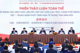 Phiên toàn thể hội nghị. (Ảnh: TTXVN)