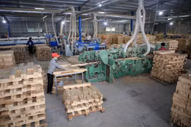 Một cơ sở chế biến gỗ. (Ảnh: Hồ Cầu/TTXVN)