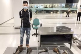 Đối tượng Sơn cùng tang vật. (Ảnh: TTXVN phát)