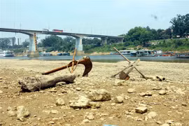 Mực nước sông Lô xuống thấp chưa từng có trong nhiều năm qua. (Ảnh: Quang Cường/TTXVN)