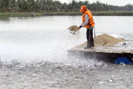 (Ảnh minh họa: Phương Vy/TTXVN)