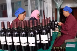 (Nguồn: grapewallofchina.com)