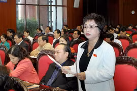 Làm rõ trách nhiệm liên quan đến sai phạm của bà Châu Thị Thu Nga