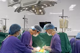 Các bác sỹ thực hiện ca ghép tạng cho bệnh nhân. (Ảnh: PV/Vietnam+)