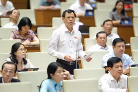 Đại biểu Nguyễn Trí Thức - Đoàn đại biểu quốc hội thành phố Hồ Chí Minh. (Ảnh: Quochoi.vn)