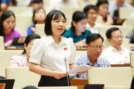 Đại biểu Quốc hội tỉnh Hải Dương Nguyễn Thị Việt Nga. (Ảnh: Phương Hoa/TTXVN)