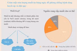 [Infographics] Báo động về tình trạng ăn quá mặn của người Việt Nam