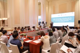 Ông Gareth Ward - Đại sứ Vương Quốc Anh phát biểu tại hội thảo. (Ảnh: PV/Vietnam+)