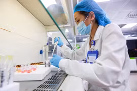 Nhân viên y tế làm công tác xét nghiệm mẫu. (Ảnh: PV/Vietnam+)