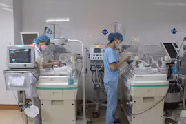 (Ảnh minh họa: Ảnh: TTXVN/Vietnam+)