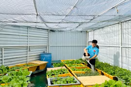 (Ảnh: PV/Vietnam+)