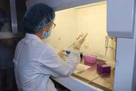 Thực hiện thao tác tại phòng xét nghiệm virus SARS-CoV-2. (Ảnh: Thanh Thương/TTXVN)