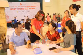 (Ảnh: PV/Vietnam+)