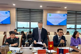 Phó Tổng Giám đốc Bảo hiểm Xã hội Việt Nam Nguyễn Đức Hòa chủ trì buổi làm việc. (Ảnh: PV/Vietnam+)