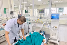 Bác sỹ theo dõi sức khỏe cho bệnh nhân. (Ảnh: PV/Vietnam+)