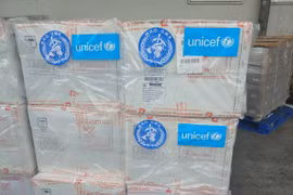 Số vaccine được WHO và UNICEF hỗ trợ khẩn cấp cho Bộ Y tế nhằm khắc phục tình trạng giảm tỷ lệ tiêm chủng và thiếu vaccine 5 trong 1. (Ảnh: PV/Vietnam+)