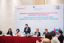 Các chuyên gia thảo luận tại hội nghị. (Ảnh: PV/Vietnam+)