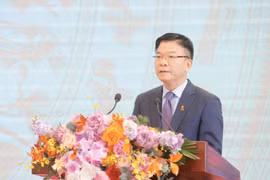 Phó Thủ tướng Chính phủ Lê Thành Long cho hay công tác phòng, chống HIV/AIDS đã đạt được những thành tựu quan trọng. (Ảnh: Minh Quyết/TTXVN) 