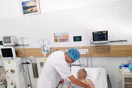 Bác sỹ của Trung tâm Chống độc thăm khám, điều trị cho bệnh nhân bị ong đốt. (Ảnh: PV/Vietnam+)