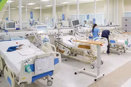 Khoa Điều trị tích cực Nội khoa (Bệnh viện Nhi Trung ương) thời gian qua tiếp nhận nhiều ca bị ong đốt trong tình trạng nặng. (Ảnh: PV/Vietnam+)