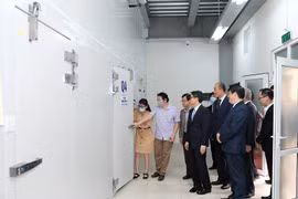 811.200 liều vaccine phòng COVID-19 đầu tiên từ COVAX Facility đã về kho bảo quản của Viện Vệ sinh Dịch tễ Trung ương. (Ảnh: PV/Vietnam+)