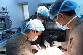 Các bác sỹ thực hiện ca phẫu thuật cho bệnh nhân. (Ảnh: PV/Vietnam+)