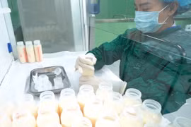 Bảo quản sữa mẹ thanh trùng được hiến tặng tại một Ngân hàng sữa mẹ. (Ảnh: Minh Quyết/Vietnam+)