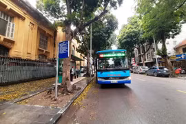Xe buýt Hà Nội sụt giảm sản lượng và doanh thu trong quý 1/2021 do ảnh hưởng của dịch COVID-19. (Ảnh: Việt Hùng/Vietnam+)