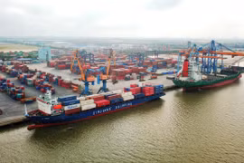 Bốc xếp container tại một bến cảng Hải Phòng. (Ảnh: CTV/Vietnam+)