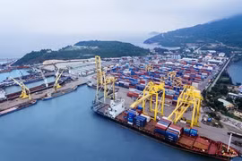 Bốc xếp hàng hóa tại một cảng biển Việt Nam. (Ảnh: CTV/Vietnam+)