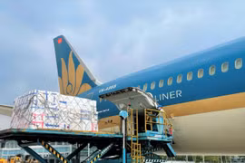 Siêu tàu bay thân rộng của Vietnam Airlines vận chuyển vải thiều từ Hà Nội vào Thành phố Hồ Chí Minh. (Ảnh: CTV/Vietnam+)
