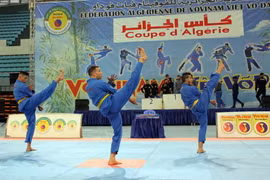 [Photo] Vòng chung kết Cúp Vovinam Việt Võ Đạo toàn Algeria