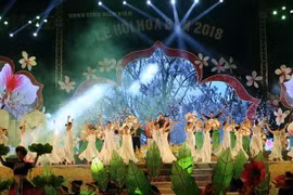 Chương trình nghệ thuật trong buổi lễ khai mạc. (Ảnh: Phan Tuấn Anh/TTXVN)
