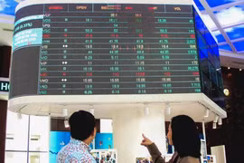 Nhà đầu tư theo dõi diễn biến thị trường chứng khoán tại Sở Giao dịch Chứng khoán Thành phố Hồ Chí Minh. (Ảnh: Hứa Chung/TTXVN)