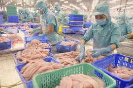 Giá trị xuất siêu nông lâm thủy sản của cả nước đạt 2,68 tỷ USD trong hai tháng đầu năm 2024. (Ảnh: Hồng Nhung/TTXVN)