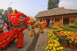 Các hoạt động tại đường hoa Xuân Giáp Thìn năm 2024 của tỉnh Hậu Giang. (Ảnh: Duy Khương/TTXVN)