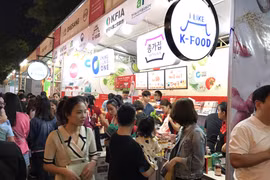 Năm 2015, Việt Nam và Hàn Quốc ký hiệp định thương mại tự do-VKFTA. (Ảnh: Đức Duy/Vietnam+)