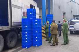 Lực lượng liên ngành kiểm tra 2 xe container chở hàng thực phẩm đông lạnh. (Ảnh: QLTT cung cấp)